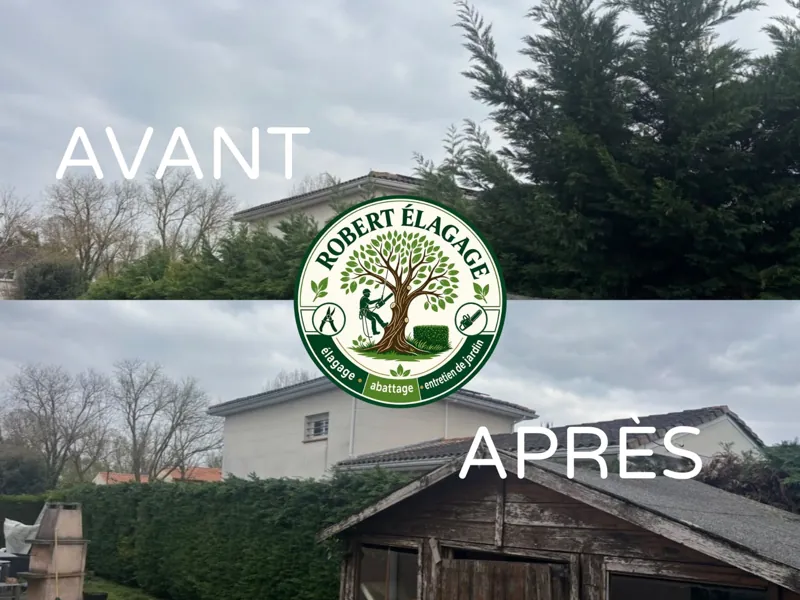 Avant/après : réduction d’une haie près d’une maison