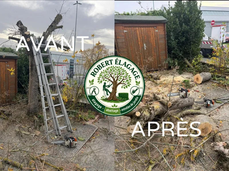 Avant/après : abattage d’un arbre près d’un abri