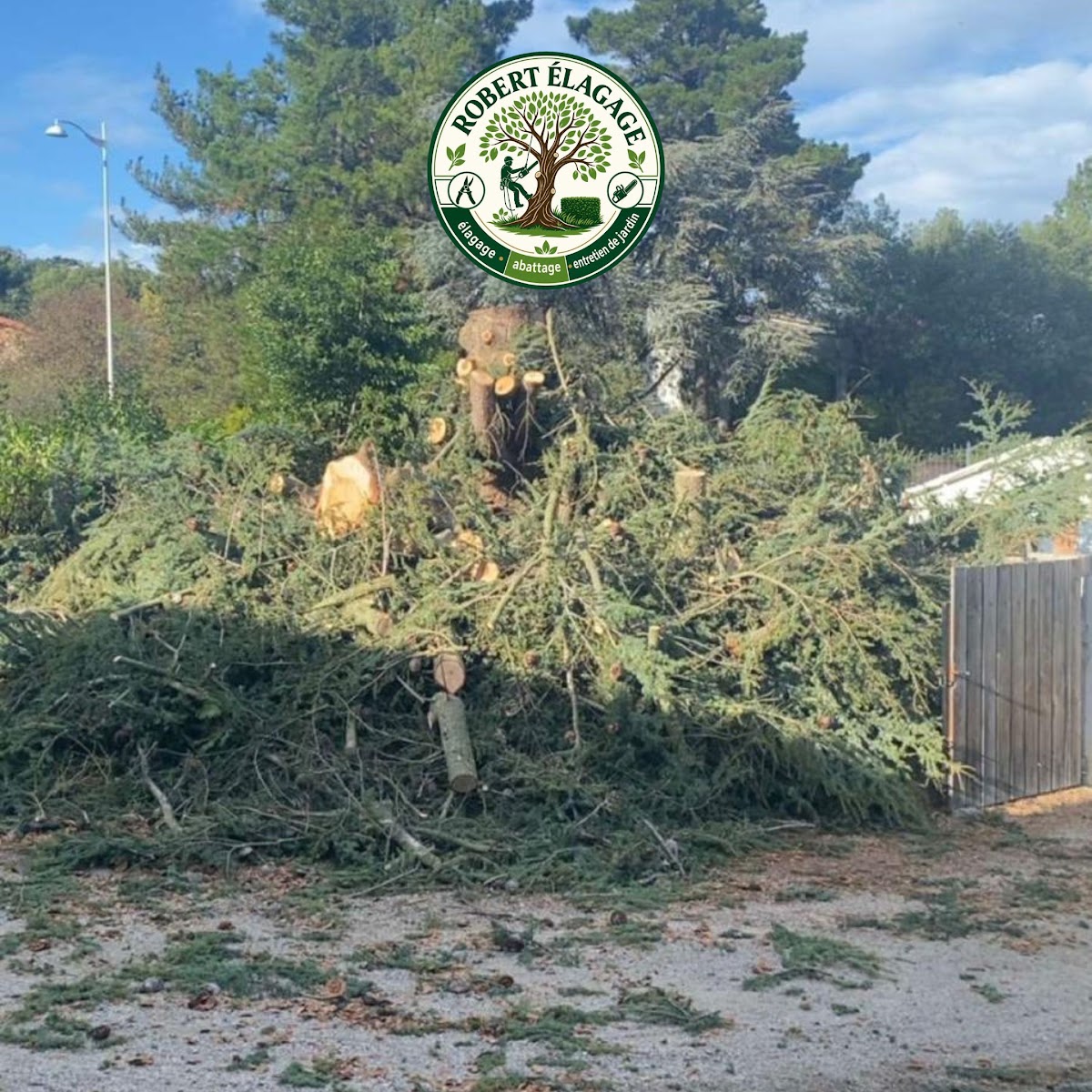 Abattage sécurisé d'un arbre avec zone de chantier balisée