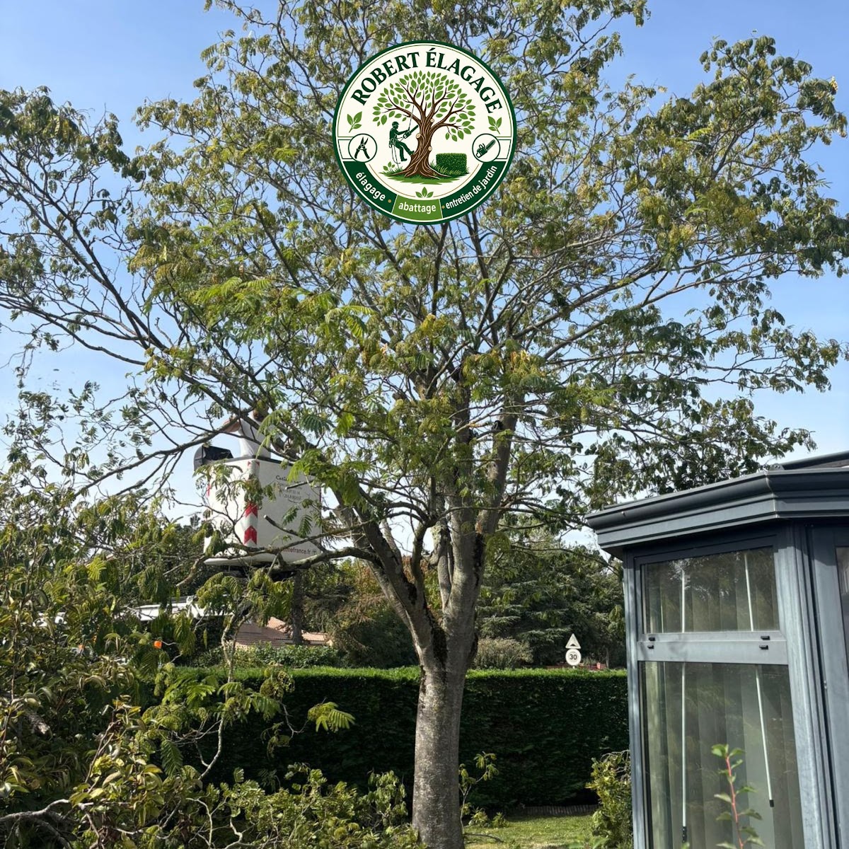 Élagueur taillant les branches d'un arbre dans un jardin près de Cugnaux